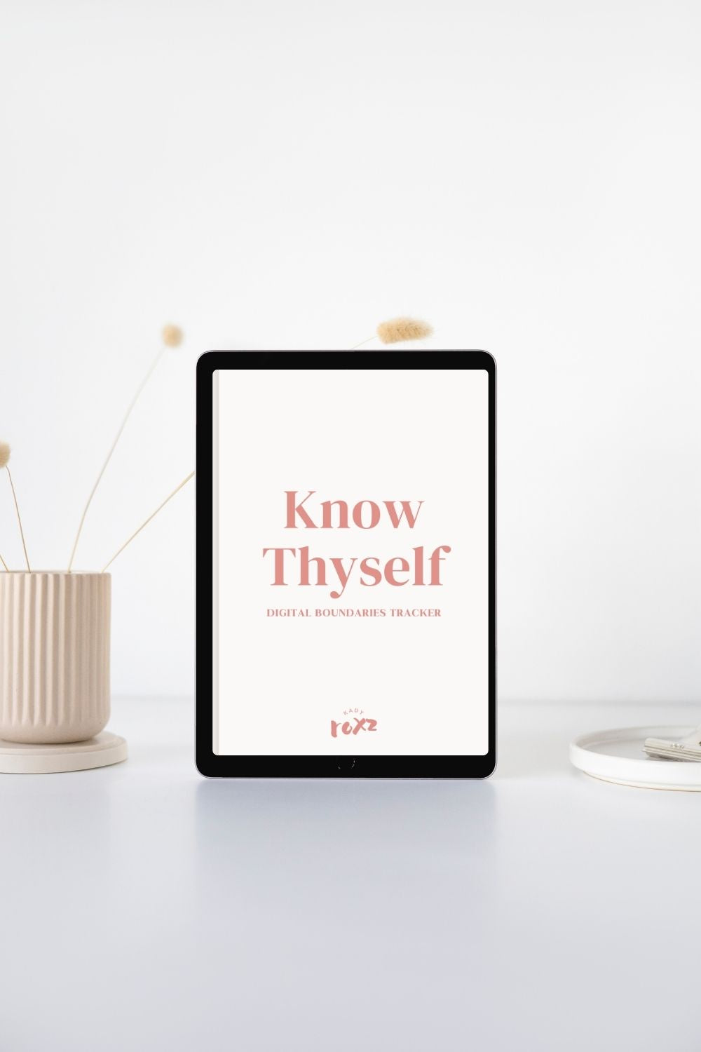 The "Know Thyself" Digital Boundaries Tracker